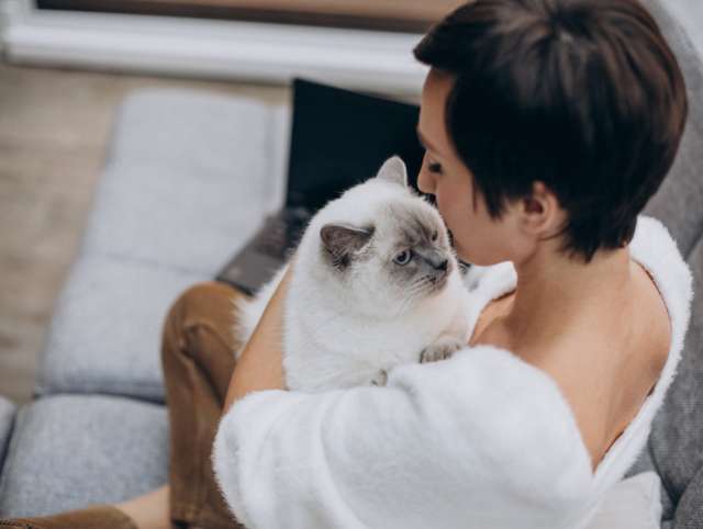 young-woman-with-cat-working-on-laptop-from-home